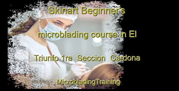 Skinart Beginner's microblading course in El Triunfo 1ra  Seccion  Cardona | #MicrobladingTraining #MicrobladingClasses #SkinartTraining-Mexico