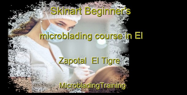 Skinart Beginner's microblading course in El Zapotal  El Tigre | #MicrobladingTraining #MicrobladingClasses #SkinartTraining-Mexico