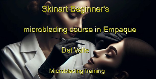 Skinart Beginner's microblading course in Empaque Del Valle | #MicrobladingTraining #MicrobladingClasses #SkinartTraining-Mexico