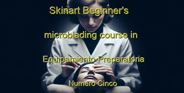 Skinart Beginner's microblading course in Equipamiento Preparatoria Numero Cinco | #MicrobladingTraining #MicrobladingClasses #SkinartTraining-Mexico