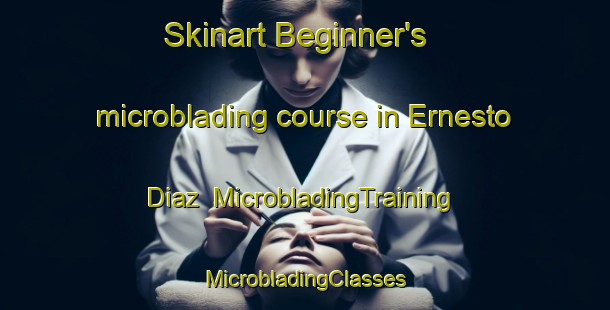 Skinart Beginner's microblading course in Ernesto Diaz | #MicrobladingTraining #MicrobladingClasses #SkinartTraining-Mexico