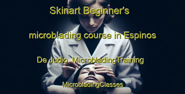 Skinart Beginner's microblading course in Espinos De Judio | #MicrobladingTraining #MicrobladingClasses #SkinartTraining-Mexico