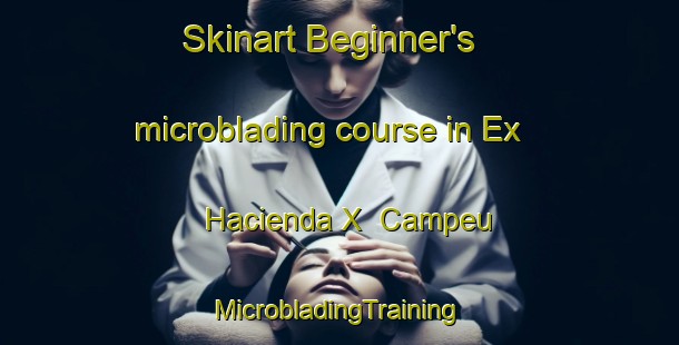 Skinart Beginner's microblading course in Ex  Hacienda X  Campeu | #MicrobladingTraining #MicrobladingClasses #SkinartTraining-Mexico