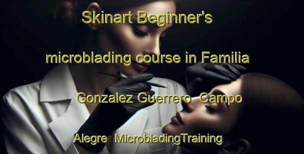 Skinart Beginner's microblading course in Familia Gonzalez Guerrero  Campo Alegre | #MicrobladingTraining #MicrobladingClasses #SkinartTraining-Mexico