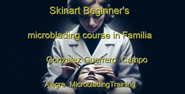 Skinart Beginner's microblading course in Familia Gonzalez Guerrero  Campo Alegre | #MicrobladingTraining #MicrobladingClasses #SkinartTraining-Mexico