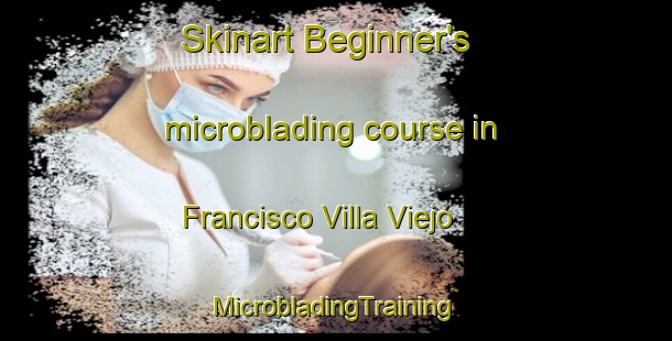 Skinart Beginner's microblading course in Francisco Villa Viejo | #MicrobladingTraining #MicrobladingClasses #SkinartTraining-Mexico