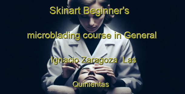 Skinart Beginner's microblading course in General Ignacio Zaragoza  Las Quinientas | #MicrobladingTraining #MicrobladingClasses #SkinartTraining-Mexico