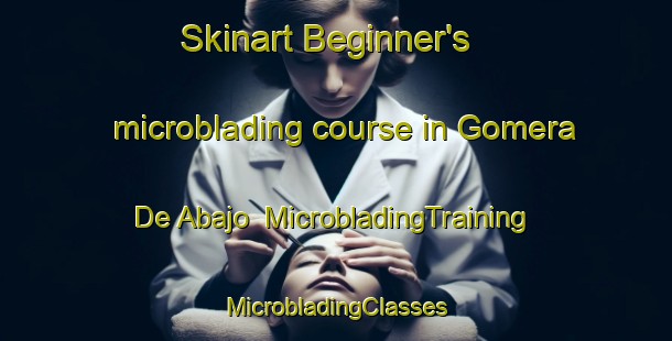 Skinart Beginner's microblading course in Gomera De Abajo | #MicrobladingTraining #MicrobladingClasses #SkinartTraining-Mexico