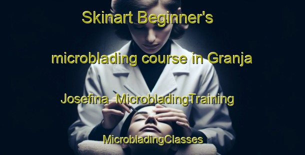 Skinart Beginner's microblading course in Granja Josefina | #MicrobladingTraining #MicrobladingClasses #SkinartTraining-Mexico