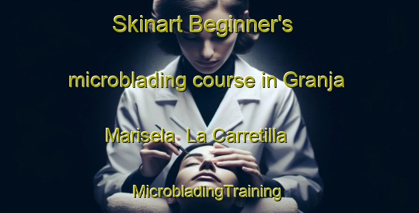 Skinart Beginner's microblading course in Granja Marisela  La Carretilla | #MicrobladingTraining #MicrobladingClasses #SkinartTraining-Mexico