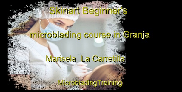 Skinart Beginner's microblading course in Granja Marisela  La Carretilla | #MicrobladingTraining #MicrobladingClasses #SkinartTraining-Mexico