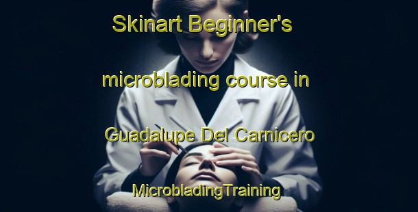 Skinart Beginner's microblading course in Guadalupe Del Carnicero | #MicrobladingTraining #MicrobladingClasses #SkinartTraining-Mexico