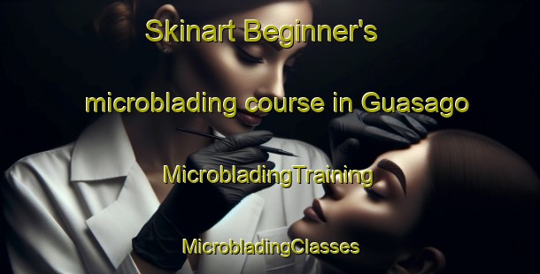 Skinart Beginner's microblading course in Guasago | #MicrobladingTraining #MicrobladingClasses #SkinartTraining-Mexico