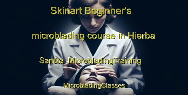 Skinart Beginner's microblading course in Hierba Santita | #MicrobladingTraining #MicrobladingClasses #SkinartTraining-Mexico