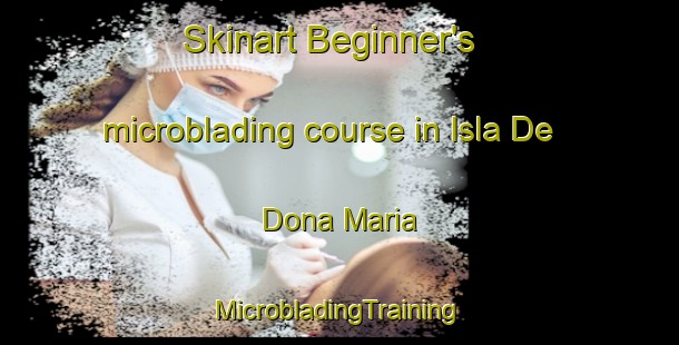 Skinart Beginner's microblading course in Isla De Dona Maria | #MicrobladingTraining #MicrobladingClasses #SkinartTraining-Mexico