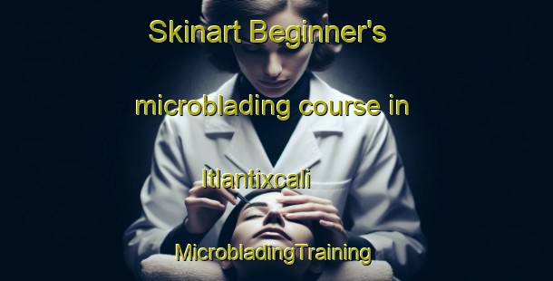 Skinart Beginner's microblading course in Itlantixcali | #MicrobladingTraining #MicrobladingClasses #SkinartTraining-Mexico