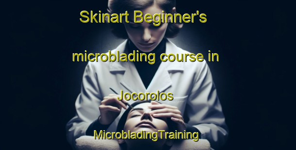 Skinart Beginner's microblading course in Jocorolos | #MicrobladingTraining #MicrobladingClasses #SkinartTraining-Mexico