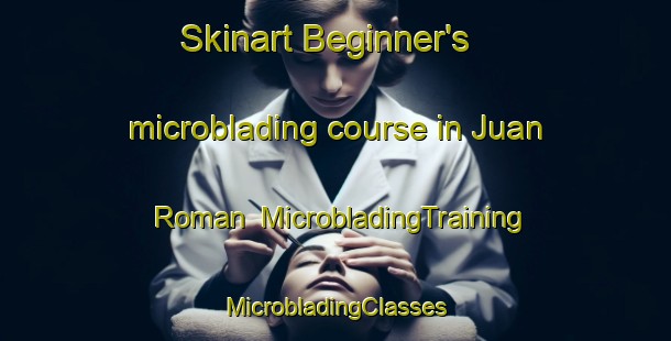 Skinart Beginner's microblading course in Juan Roman | #MicrobladingTraining #MicrobladingClasses #SkinartTraining-Mexico