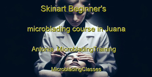 Skinart Beginner's microblading course in Juana Antonia | #MicrobladingTraining #MicrobladingClasses #SkinartTraining-Mexico