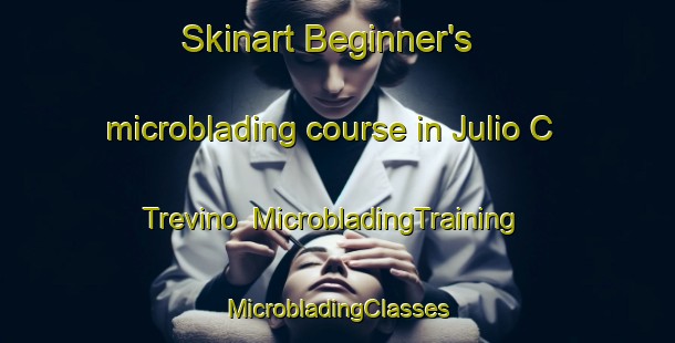 Skinart Beginner's microblading course in Julio C  Trevino | #MicrobladingTraining #MicrobladingClasses #SkinartTraining-Mexico