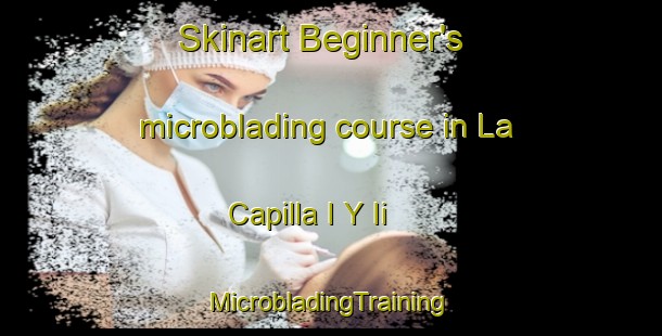 Skinart Beginner's microblading course in La Capilla I Y Ii | #MicrobladingTraining #MicrobladingClasses #SkinartTraining-Mexico