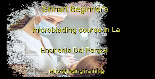 Skinart Beginner's microblading course in La Encinerita Del Parazal | #MicrobladingTraining #MicrobladingClasses #SkinartTraining-Mexico