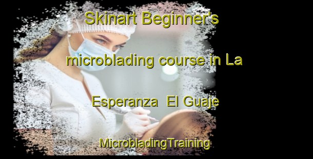 Skinart Beginner's microblading course in La Esperanza  El Guaje | #MicrobladingTraining #MicrobladingClasses #SkinartTraining-Mexico