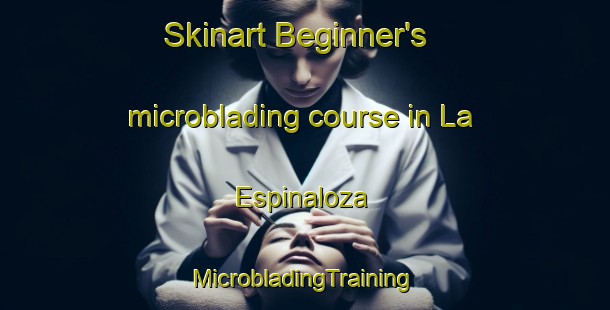 Skinart Beginner's microblading course in La Espinaloza | #MicrobladingTraining #MicrobladingClasses #SkinartTraining-Mexico