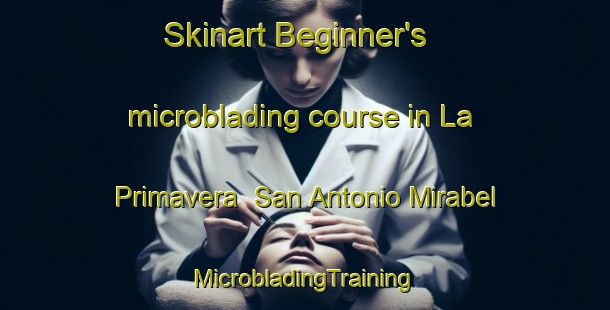 Skinart Beginner's microblading course in La Primavera  San Antonio Mirabel | #MicrobladingTraining #MicrobladingClasses #SkinartTraining-Mexico