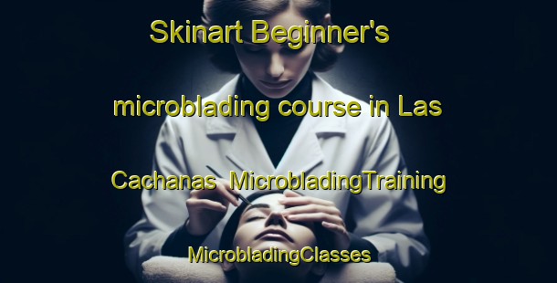 Skinart Beginner's microblading course in Las Cachanas | #MicrobladingTraining #MicrobladingClasses #SkinartTraining-Mexico