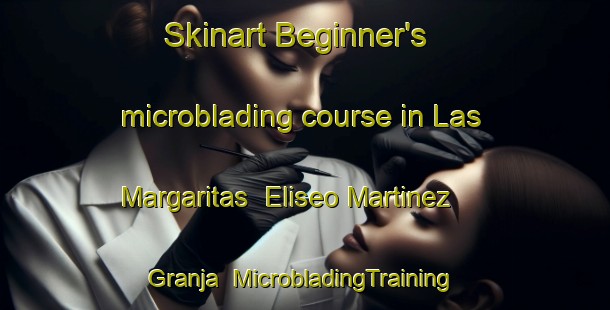 Skinart Beginner's microblading course in Las Margaritas  Eliseo Martinez   Granja | #MicrobladingTraining #MicrobladingClasses #SkinartTraining-Mexico