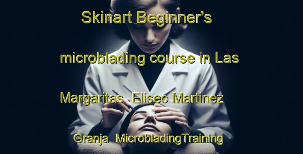 Skinart Beginner's microblading course in Las Margaritas  Eliseo Martinez   Granja | #MicrobladingTraining #MicrobladingClasses #SkinartTraining-Mexico