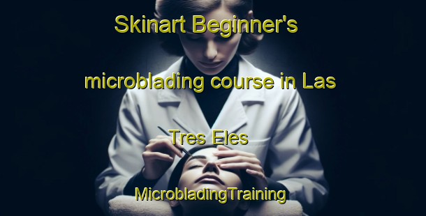 Skinart Beginner's microblading course in Las Tres Eles | #MicrobladingTraining #MicrobladingClasses #SkinartTraining-Mexico