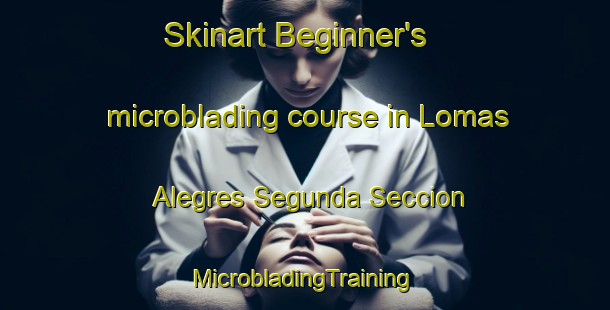 Skinart Beginner's microblading course in Lomas Alegres Segunda Seccion | #MicrobladingTraining #MicrobladingClasses #SkinartTraining-Mexico