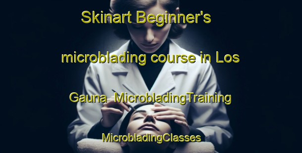 Skinart Beginner's microblading course in Los Gauna | #MicrobladingTraining #MicrobladingClasses #SkinartTraining-Mexico