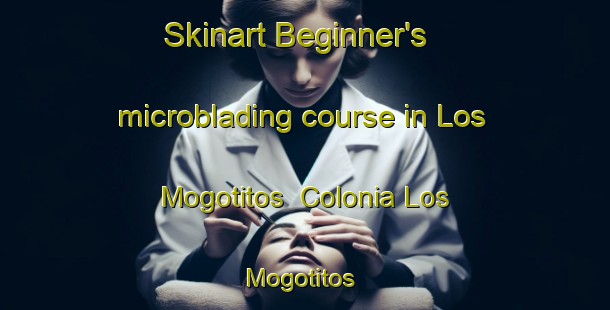 Skinart Beginner's microblading course in Los Mogotitos  Colonia Los Mogotitos | #MicrobladingTraining #MicrobladingClasses #SkinartTraining-Mexico