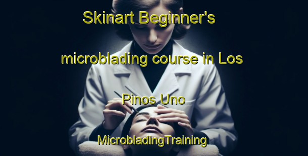 Skinart Beginner's microblading course in Los Pinos Uno | #MicrobladingTraining #MicrobladingClasses #SkinartTraining-Mexico