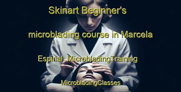 Skinart Beginner's microblading course in Marcela Espinal | #MicrobladingTraining #MicrobladingClasses #SkinartTraining-Mexico