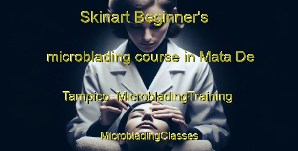 Skinart Beginner's microblading course in Mata De Tampico | #MicrobladingTraining #MicrobladingClasses #SkinartTraining-Mexico