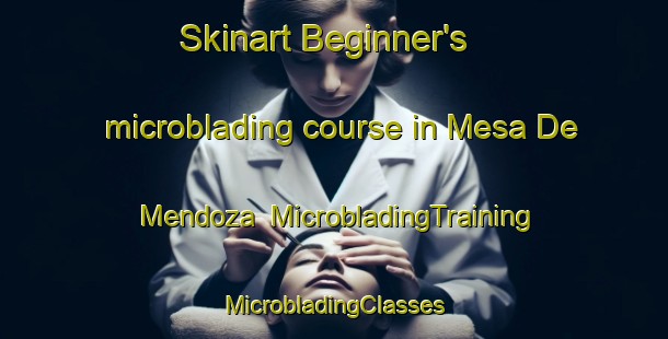 Skinart Beginner's microblading course in Mesa De Mendoza | #MicrobladingTraining #MicrobladingClasses #SkinartTraining-Mexico