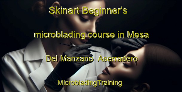 Skinart Beginner's microblading course in Mesa Del Manzano  Aserradero | #MicrobladingTraining #MicrobladingClasses #SkinartTraining-Mexico