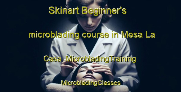 Skinart Beginner's microblading course in Mesa La Casa | #MicrobladingTraining #MicrobladingClasses #SkinartTraining-Mexico