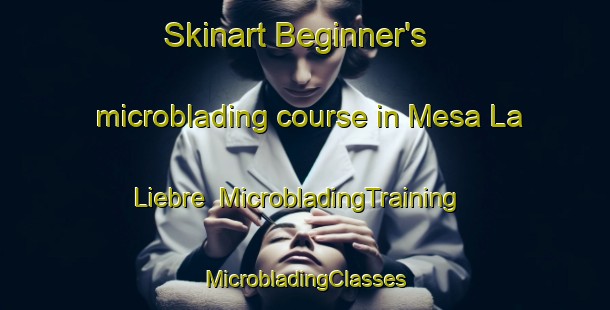 Skinart Beginner's microblading course in Mesa La Liebre | #MicrobladingTraining #MicrobladingClasses #SkinartTraining-Mexico