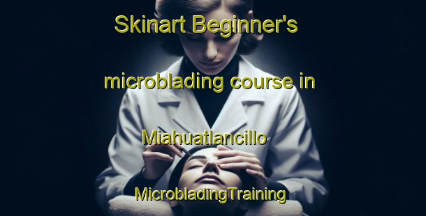 Skinart Beginner's microblading course in Miahuatlancillo | #MicrobladingTraining #MicrobladingClasses #SkinartTraining-Mexico