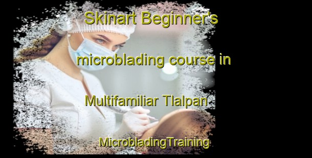 Skinart Beginner's microblading course in Multifamiliar Tlalpan | #MicrobladingTraining #MicrobladingClasses #SkinartTraining-Mexico