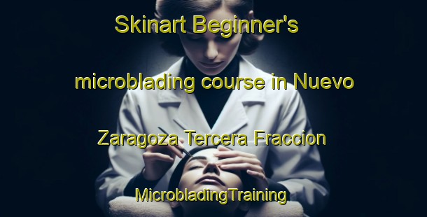 Skinart Beginner's microblading course in Nuevo Zaragoza Tercera Fraccion | #MicrobladingTraining #MicrobladingClasses #SkinartTraining-Mexico