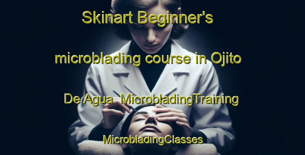 Skinart Beginner's microblading course in Ojito De Agua | #MicrobladingTraining #MicrobladingClasses #SkinartTraining-Mexico