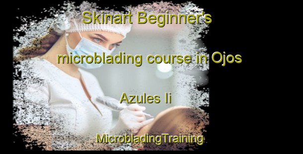 Skinart Beginner's microblading course in Ojos Azules Ii | #MicrobladingTraining #MicrobladingClasses #SkinartTraining-Mexico