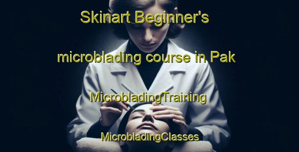 Skinart Beginner's microblading course in Pak | #MicrobladingTraining #MicrobladingClasses #SkinartTraining-Mexico