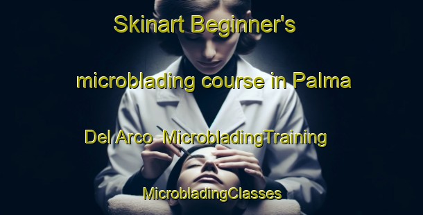 Skinart Beginner's microblading course in Palma Del Arco | #MicrobladingTraining #MicrobladingClasses #SkinartTraining-Mexico